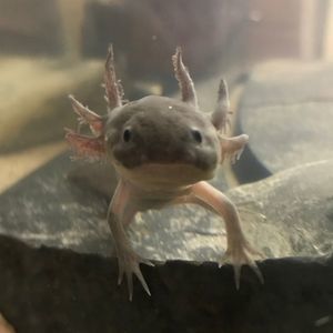 Meet your Posher, Kay